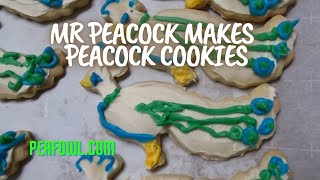 Mr Peacock Makes Peacock Cookies Peacock Minute peafowlcom [upl. by Aelam]