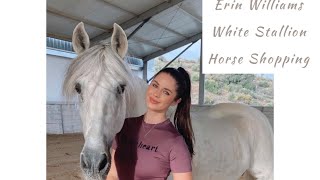 Erin Williams horse shopping for White Stallion… which one would you choose [upl. by Aettam]