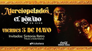 Aterciopelados  Gira El Dorado  Puerto Rico 3 de Mayo [upl. by Keviv]