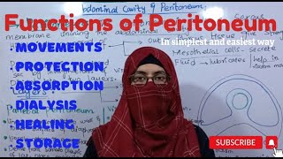 Functions of Peritoneum I Abdominal cavity and Peritoneum ayeshamedicaleducation [upl. by Nirahs]