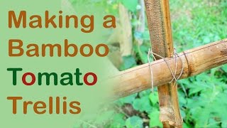 Making a Bamboo Tomato Trellis Day 21 of 30 [upl. by Snow815]