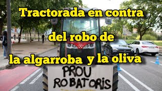 Tractorada en contra del robo de la algarroba y la oliva [upl. by Netta]