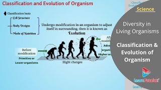 Diversity in Living Organisms Class 9 Science Chapter 7  Classification and Evolution of Organism [upl. by Millda]