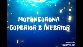 Motoneurona superior e inferior [upl. by Annua]