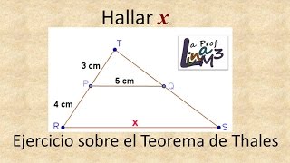 Teorema de Thales  Proporcionalidad  La Prof Lina M3 [upl. by Naejamron580]