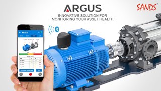 ARGUS Triaxial Wireless Vibration Sensor for Condition Monitoring amp Remote Diagnostics [upl. by Krista902]