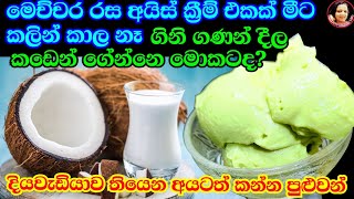 පොල්කිරි මේ තරම් රසයිද කඩේ අයිස්ක්‍රීම් මොකටද මෙහෙම සුපිරියට හදාගන්න Vegan Ice Cream Coconut milk [upl. by Roobbie]