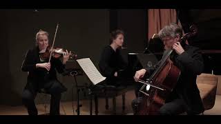 Beethoven Archduke Trio mvt 1  Lions Gate Trio [upl. by Jo255]