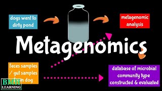 Metagenome  Metagenomics  Metagenomics Workflow [upl. by Norag]