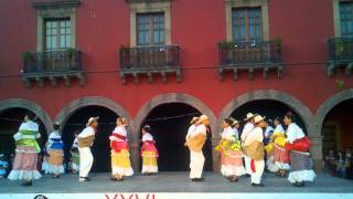 Baile de Jaral del Progreso Gto El olotito [upl. by Kezer137]