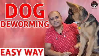 Deworming of DOG  Easy Way to Deworm your Puppy at Home  Dog Care Information  Baadal Bhandaari [upl. by Reeves317]