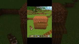 MINECRAFT SMALLEST HOUSE 🏠minecraft shorts [upl. by Lederer696]