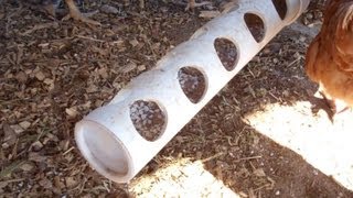 DIY Easy Homemade Chicken Feeder [upl. by Dlorag]