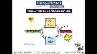 Carbohidratos generalidades y función  Carbohidratos Parte I [upl. by Mowbray654]