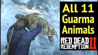 All 11 Guarma Animals in Red Dead Redemption 2 RDR2 Rare Green Turtle and Locations [upl. by Nnek]