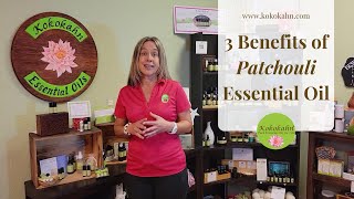 3 Benefits of PATCHOULI Essential Oil Pogostemom Cablin Aromatherapy [upl. by Yelwar]