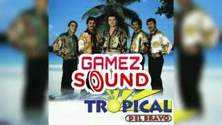 Tropical del Bravo MIX Para Bailar [upl. by Sellers]