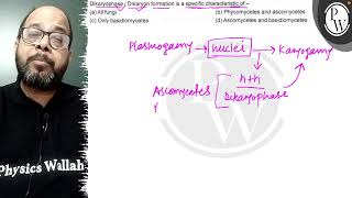 Dikaryophase  Dikaryon formation is a specific characteristic of  a All fungi b Phycomycet [upl. by Clary]