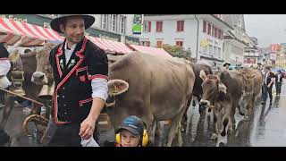 Entlebucher Alpabfahrt 2024 Schüpfheim LU 🇨🇭 [upl. by Dmitri974]