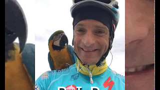 Michele Scarponi e lamicizia col pappagallo Frankje [upl. by Ronda]