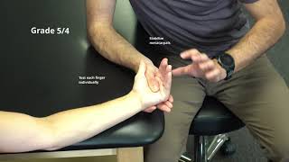 Manual Muscle Test for Metacarpophalangeal Flexion [upl. by Noskcaj253]