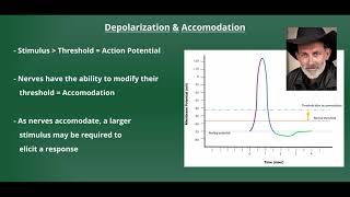 Introduction to Electrical Stimulation [upl. by Greyso]