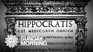 The Hippocratic Oath [upl. by Sheff625]