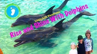 Little Life Vacations Rise and Shine with Dolphins [upl. by Lionello]