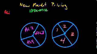 Airline Pricing  Part 4  New Market Pricing [upl. by Shoifet]