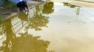 Clearing the Path Unclogging a Storm Drain for Smooth Water Flow [upl. by Harak]