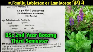 Family Lamiaceae in Hindi  Family Labiatae  BSc 2nd year Botany Third Semester [upl. by Leah]