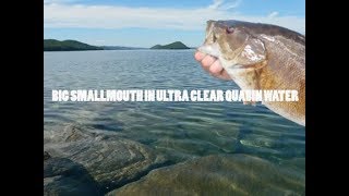 Fishing INCREDIBLY Clear Water For BIG BASS  Quabbin Massachusetts [upl. by Llezo]