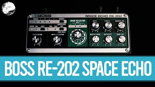 Boss RE202 Space Echo [upl. by Nanni975]