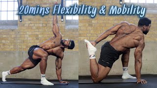 20mins Full Body Flexibility amp Mobility Routine  FOLLOW ALONG [upl. by Isle]