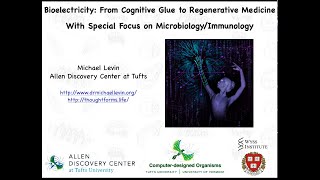 A 1 hour lecture on bioelectricity for a department of parasitologyimmunology by Michael Levin [upl. by Kostival]