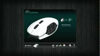 Logitech G600 MMO Mouse Review amp KeyBind Tutorial For Guild Wars 2 [upl. by Aramit126]