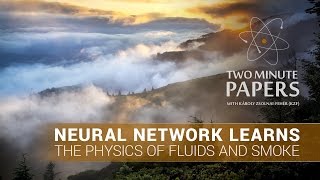 Neural Network Learns The Physics of Fluids and Smoke  Two Minute Papers 118 [upl. by Lindsay]