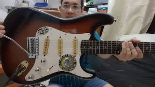 Gitar Samick LS 10 Original Stratocaster  Michael Pranajaya  Review [upl. by Ramin]