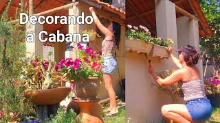 PLANTEI MAIS DE 10 TIPOS DE GAZANIASA CABANA FICANDO LINDA🥰 [upl. by Kremer]