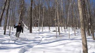 XCD Telemark Backcountry Skiing Secret Slopes Kingsmere Gatineau Park スキー Madshus Panorama M78 [upl. by Haimirej683]