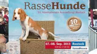 Internationale RasseHundeAusstellung Rostock 2013 [upl. by Anoyet380]