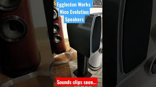 EgglestonWorks Nico Evolution Speakers [upl. by Byers]