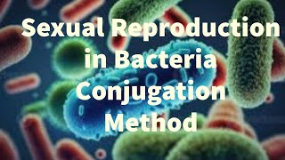 Microbiology Sexual Reproduction in Bacteria Conjugation Method [upl. by Velleman]