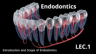 Endodontics Introduction and Scope of Endodontics  حشوات الجذور المحاضرة الاولى [upl. by Hteb891]