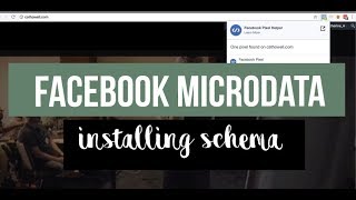 Facebook Microdata amp Adding Schema to site [upl. by Newra]