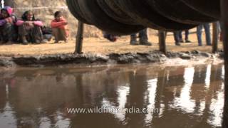 Indian kids compete in Turtle Pit race [upl. by Sundberg223]