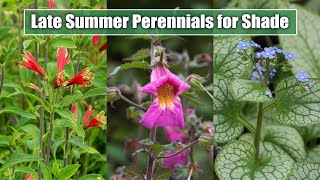 10 Late Summer Perennials for ShadePart Shade Garden Spot  August September Blooms [upl. by Kipton]