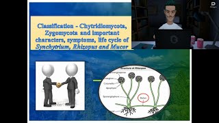 Chytridiomycota amp Zygomycota  Symptoms and life cycle of Synchytrium Rhizopus amp Mucor [upl. by Ielirol856]