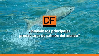 DATA DF  Cómo innovan las empresas salmoneras locales escasas patentes pero con proyectos de ID [upl. by Ejroj]