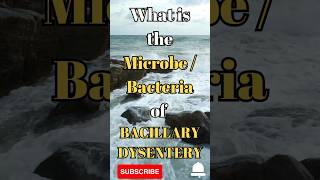 What is the microbe  bacteria of Bacillary dysentery shorts facts biology [upl. by Colman]